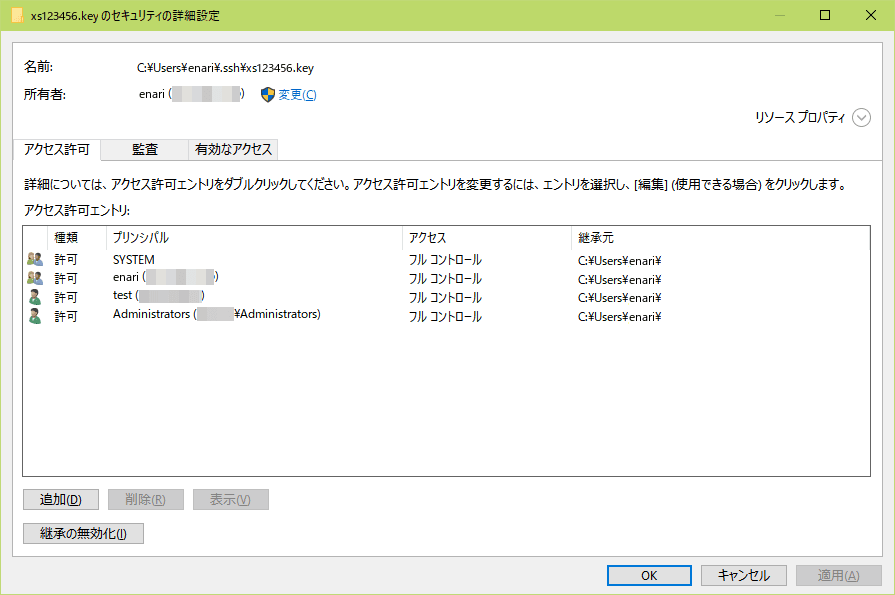 ファイルセキュリティの詳細設定